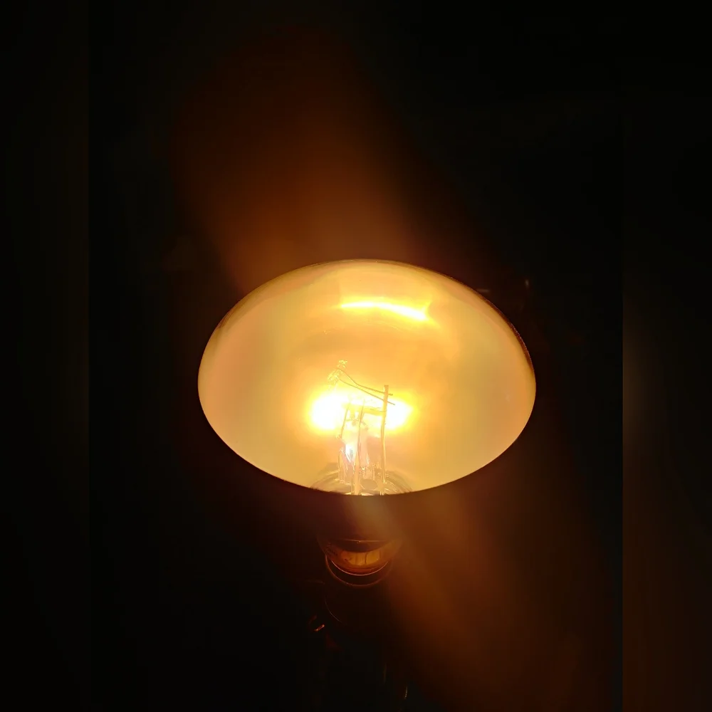 100 Watt Mercury Vapor Lamp For Pets